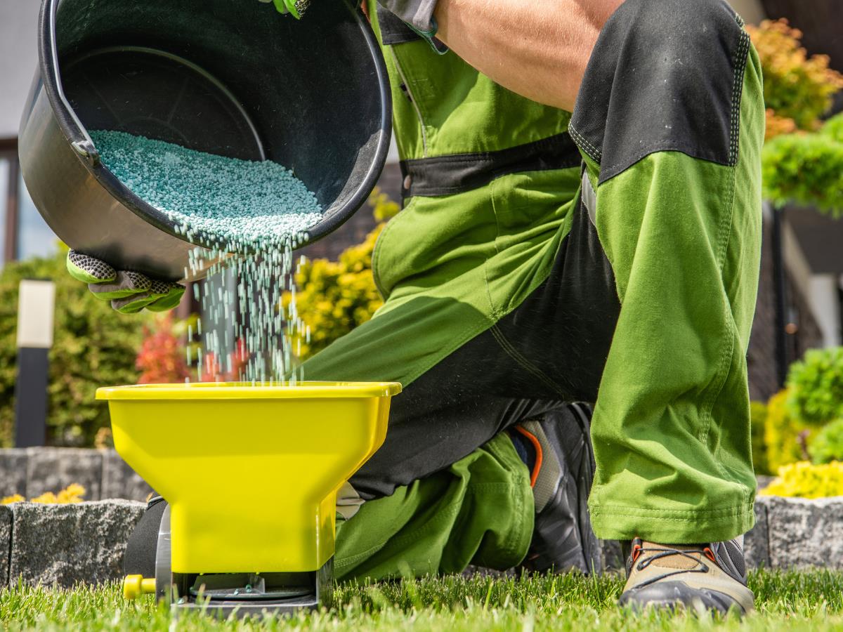 Fertilize Your Lawn
