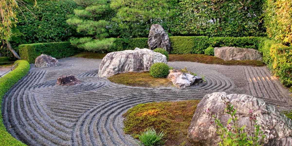 The Art of Garden Design: Where Aesthetics Meet Functionality