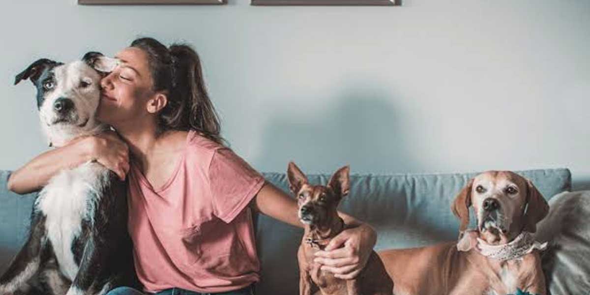 The Importance of First Aid Preparedness in Pet Care